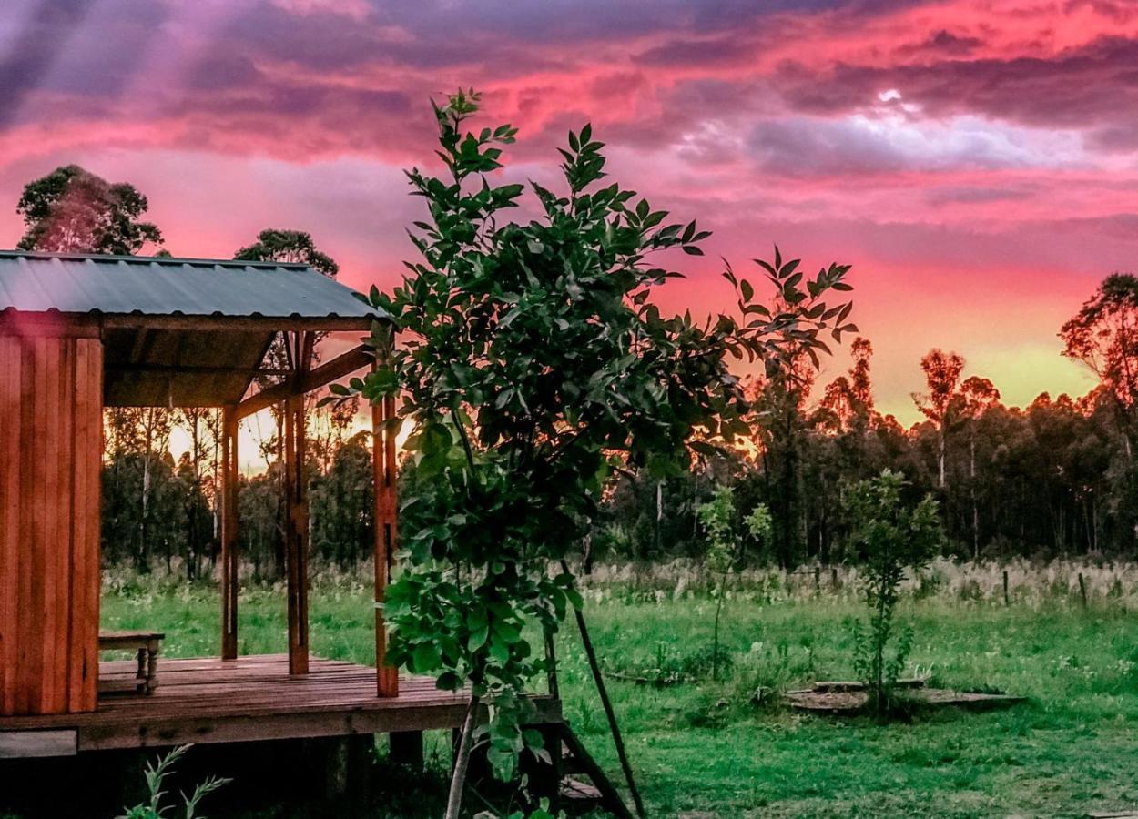 Campo Verde Concordia Luaran gambar